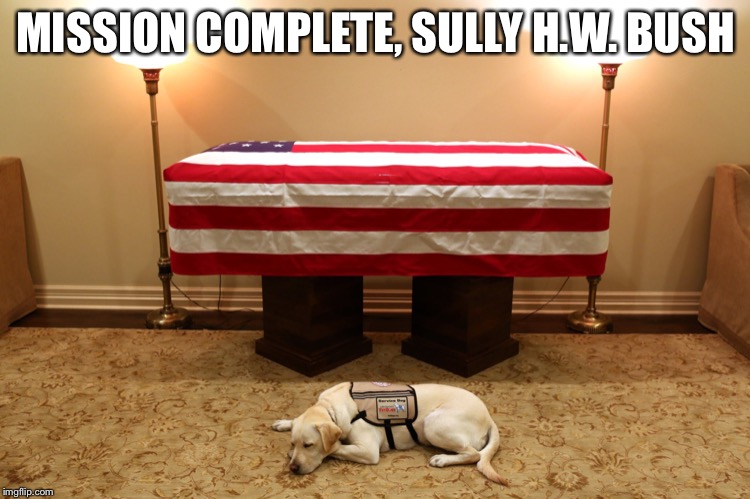 Sully hw bush | MISSION COMPLETE, SULLY H.W. BUSH | image tagged in george bushes dog,sully hw bush,sully bush,bush 41,sully the dog | made w/ Imgflip meme maker
