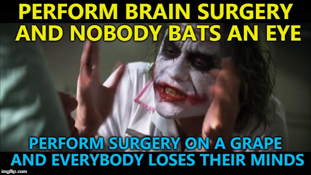 Did they start with a pumpkin and work their way down? :) | PERFORM BRAIN SURGERY AND NOBODY BATS AN EYE; PERFORM SURGERY ON A GRAPE AND EVERYBODY LOSES THEIR MINDS | image tagged in memes,and everybody loses their minds,grape surgery,medicine | made w/ Imgflip meme maker