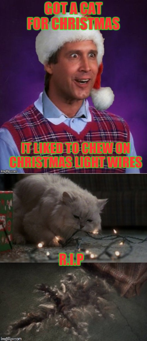 Bad Luck Clark.. Christmas Vacation Week. Dec 2nd - Dec 8th (A THparky event) | GOT A CAT FOR CHRISTMAS; IT LIKED TO CHEW ON CHRISTMAS LIGHT WIRES; R.I.P | image tagged in memes,funny,bad luck clark,bad luck brian,christmas vacation week,christmas vacation | made w/ Imgflip meme maker