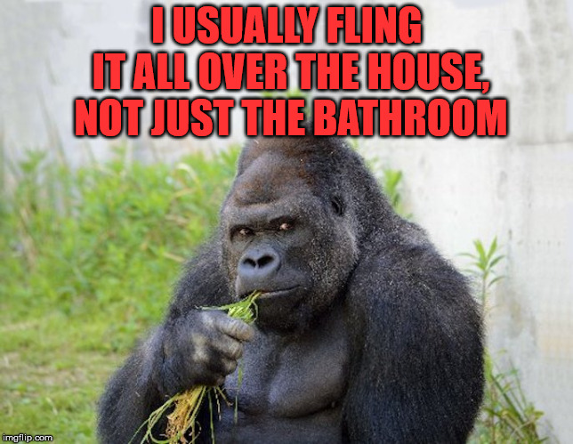 What trolls do. | I USUALLY FLING IT ALL OVER THE HOUSE, NOT JUST THE BATHROOM | image tagged in sexy monkey memes gorilla | made w/ Imgflip meme maker