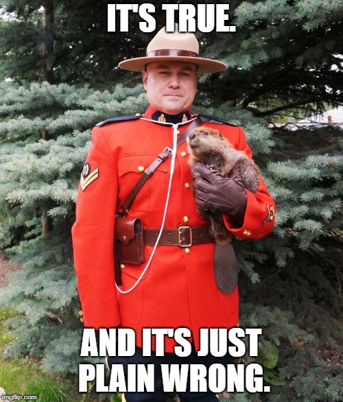 Mountie beaver | IT'S TRUE. AND IT'S JUST PLAIN WRONG. | image tagged in mountie beaver | made w/ Imgflip meme maker