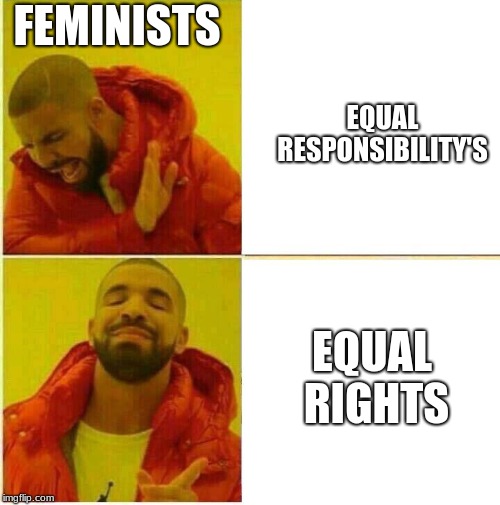 Drake hotline feminism | FEMINISTS; EQUAL RESPONSIBILITY'S; EQUAL RIGHTS | image tagged in drake hotline approves,feminism,feminist,triggered feminist,feminists way of thinking,gender equality | made w/ Imgflip meme maker