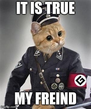 Grammar Nazi Cat | IT IS TRUE MY FREIND | image tagged in grammar nazi cat | made w/ Imgflip meme maker