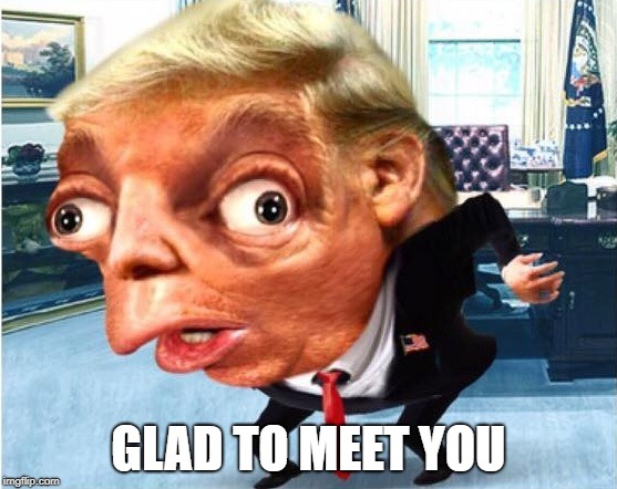 mocking trump | GLAD TO MEET YOU | image tagged in mocking trump | made w/ Imgflip meme maker