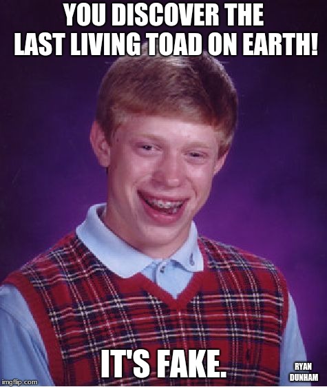 Bad Luck Brian | YOU DISCOVER THE LAST LIVING TOAD ON EARTH! IT'S FAKE. RYAN DUNHAM | image tagged in memes,bad luck brian | made w/ Imgflip meme maker