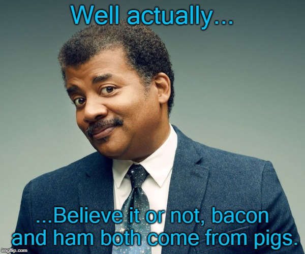 Neil De Grasse Tyson | Well actually... ...Believe it or not, bacon and ham both come from pigs. | image tagged in neil de grasse tyson | made w/ Imgflip meme maker