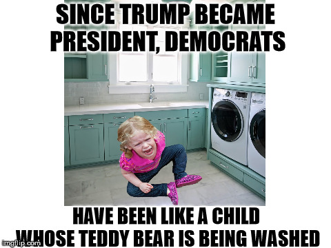 SINCE TRUMP BECAME PRESIDENT, DEMOCRATS; HAVE BEEN LIKE A CHILD WHOSE TEDDY BEAR IS BEING WASHED | image tagged in child,washer,democrats | made w/ Imgflip meme maker