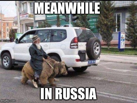 Image tagged in funny,wtf,meanwhile in,russia,animals,bears - Imgflip