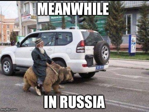 image tagged in funny,wtf,meanwhile in,russia,animals,bears | made w/ Imgflip meme maker