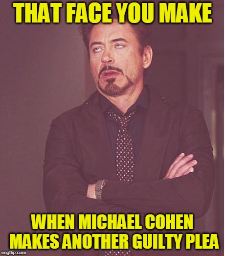 Cohen Again? | THAT FACE YOU MAKE; WHEN MICHAEL COHEN MAKES ANOTHER GUILTY PLEA | image tagged in michael cohen,robert mueller,president trump | made w/ Imgflip meme maker