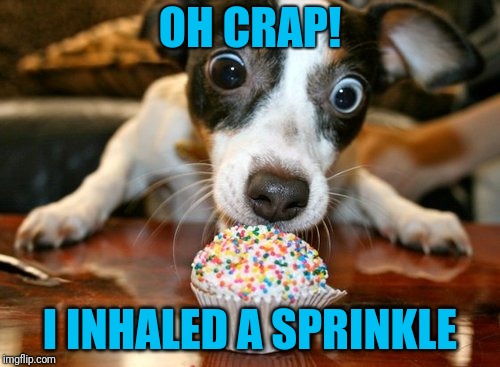 That face you make when | OH CRAP! I INHALED A SPRINKLE | image tagged in sprinkles,dog | made w/ Imgflip meme maker