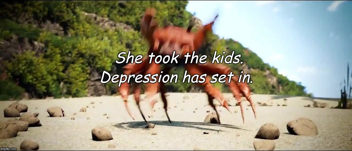 Crab Rave | She took the kids. Depression has set in. | image tagged in crab rave | made w/ Imgflip meme maker