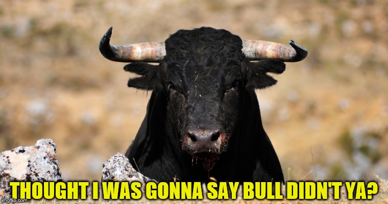 THOUGHT I WAS GONNA SAY BULL DIDN'T YA? | made w/ Imgflip meme maker