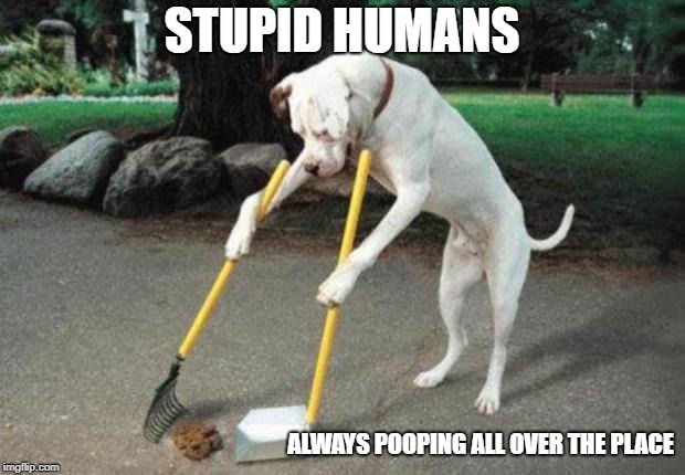 Dog poop | STUPID HUMANS; ALWAYS POOPING ALL OVER THE PLACE | image tagged in dog poop | made w/ Imgflip meme maker