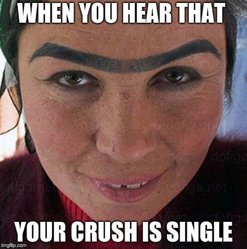 WHEN YOU HEAR THAT; YOUR CRUSH IS SINGLE | image tagged in creepy unibrow lady | made w/ Imgflip meme maker
