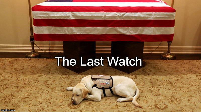 The Last Watch | image tagged in sully bush service dog | made w/ Imgflip meme maker