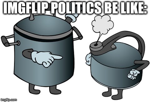 Hypocrites: Our side is perfect with no flaws. Your side is evilll | IMGFLIP POLITICS BE LIKE: | image tagged in hypocrites | made w/ Imgflip meme maker