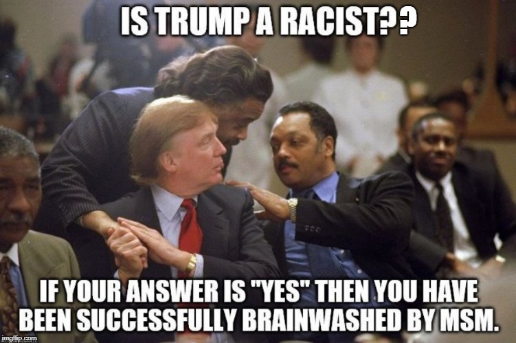 is trump racist | ? | image tagged in trump derangement syndrome | made w/ Imgflip meme maker