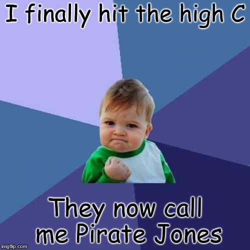 Success Kid Meme | I finally hit the high C; They now call me Pirate Jones | image tagged in memes,success kid | made w/ Imgflip meme maker