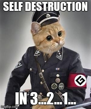 Grammar Nazi Cat | SELF DESTRUCTION IN 3...2...1... | image tagged in grammar nazi cat | made w/ Imgflip meme maker