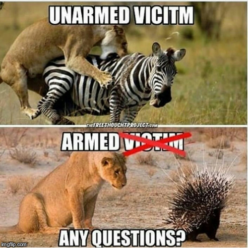 gottem | image tagged in lion,africa,guns,gun control,2a | made w/ Imgflip meme maker