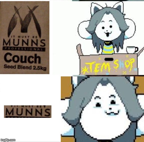 TeMmiE waNT MuNs | image tagged in undertale | made w/ Imgflip meme maker