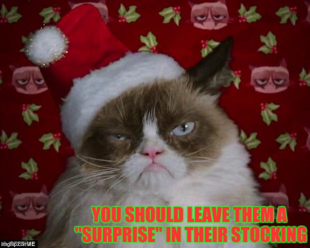Grumpy Cat Christmas | YOU SHOULD LEAVE THEM A "SURPRISE" IN THEIR STOCKING | image tagged in grumpy cat christmas | made w/ Imgflip meme maker