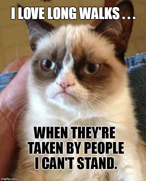 GO AWAY! | I LOVE LONG WALKS . . . WHEN THEY'RE TAKEN BY PEOPLE I CAN'T STAND. | image tagged in memes,grumpy cat | made w/ Imgflip meme maker