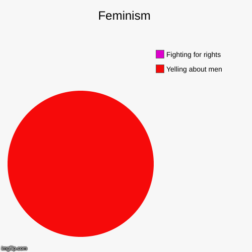 Feminism | Yelling about men, Fighting for rights | image tagged in funny,pie charts | made w/ Imgflip chart maker