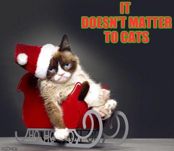 Grumpy Cat Christmas HD | IT DOESN'T MATTER TO CATS | image tagged in grumpy cat christmas hd | made w/ Imgflip meme maker