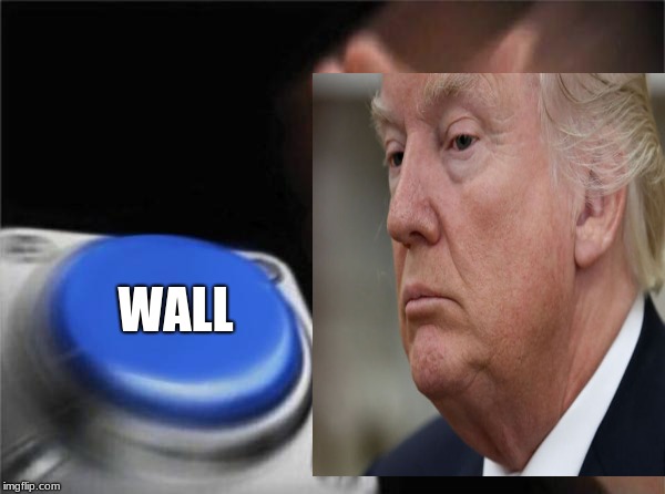 Blank Wall Button | WALL | image tagged in memes,donald trump,trump's wall | made w/ Imgflip meme maker
