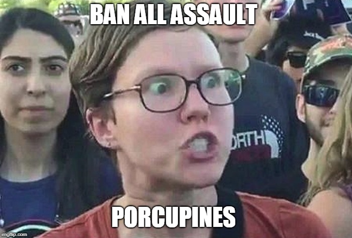Triggered Liberal | BAN ALL ASSAULT PORCUPINES | image tagged in triggered liberal | made w/ Imgflip meme maker