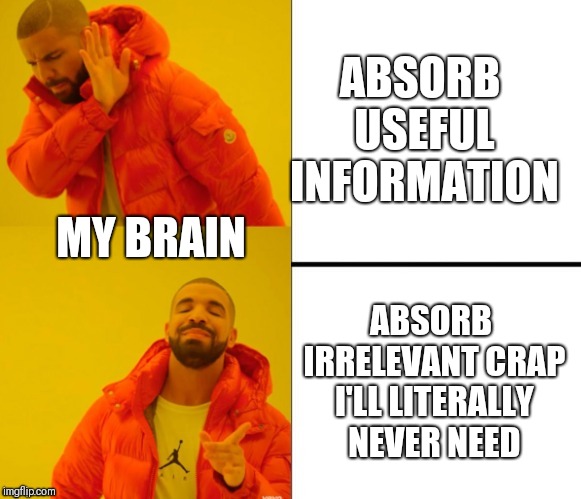 Yes no drake | ABSORB USEFUL INFORMATION; MY BRAIN; ABSORB IRRELEVANT CRAP I'LL LITERALLY NEVER NEED | image tagged in yes no drake | made w/ Imgflip meme maker