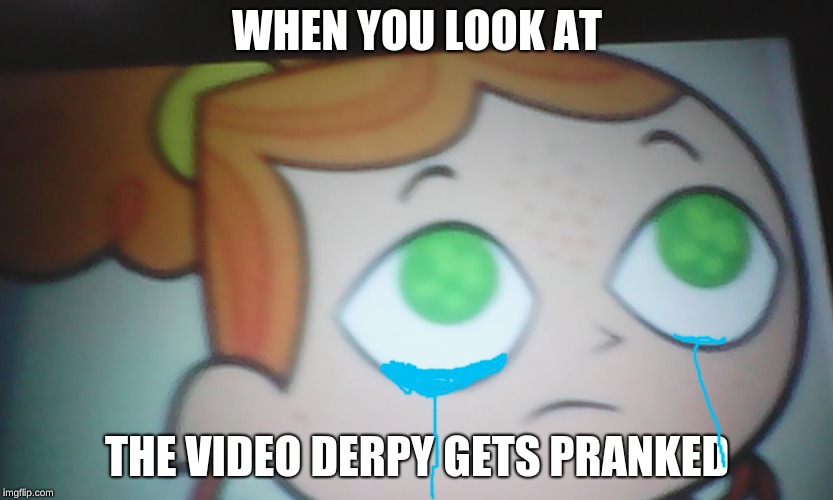 First World Problems Izzy | WHEN YOU LOOK AT; THE VIDEO DERPY GETS PRANKED | image tagged in first world problems izzy | made w/ Imgflip meme maker