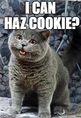 I can has cheezburger cat | I CAN HAZ COOKIE? | image tagged in i can has cheezburger cat | made w/ Imgflip meme maker