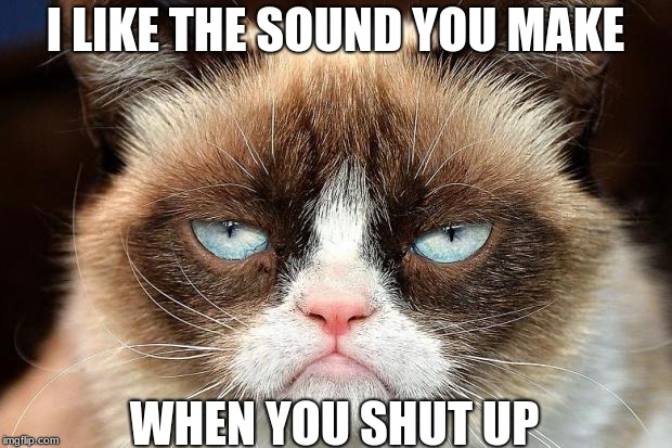 Every Monday I'll Do A Grumpy Cat Meme | I LIKE THE SOUND YOU MAKE; WHEN YOU SHUT UP | image tagged in memes,grumpy cat not amused,grumpy cat | made w/ Imgflip meme maker
