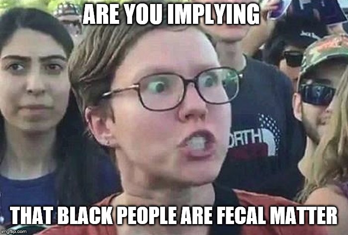 Triggered Liberal | ARE YOU IMPLYING THAT BLACK PEOPLE ARE FECAL MATTER | image tagged in triggered liberal | made w/ Imgflip meme maker