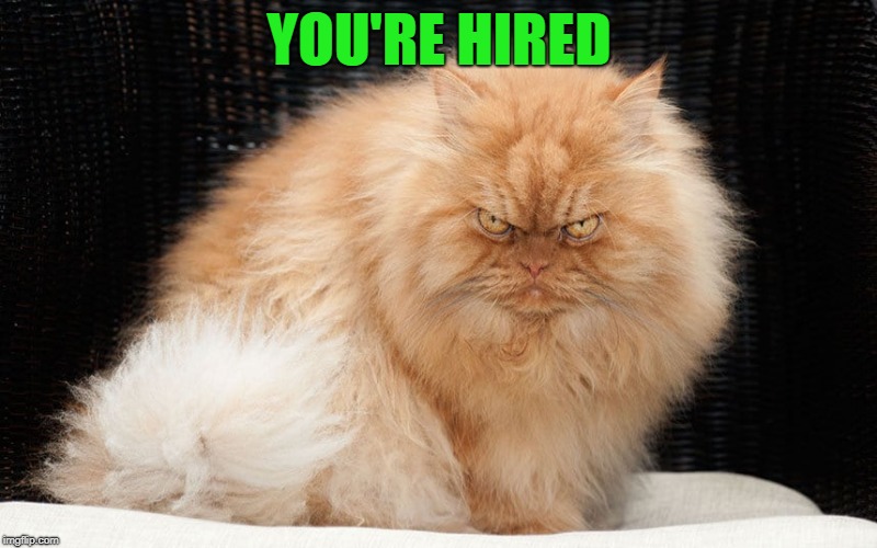 YOU'RE HIRED | made w/ Imgflip meme maker