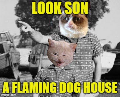 LOOK SON A FLAMING DOG HOUSE | made w/ Imgflip meme maker