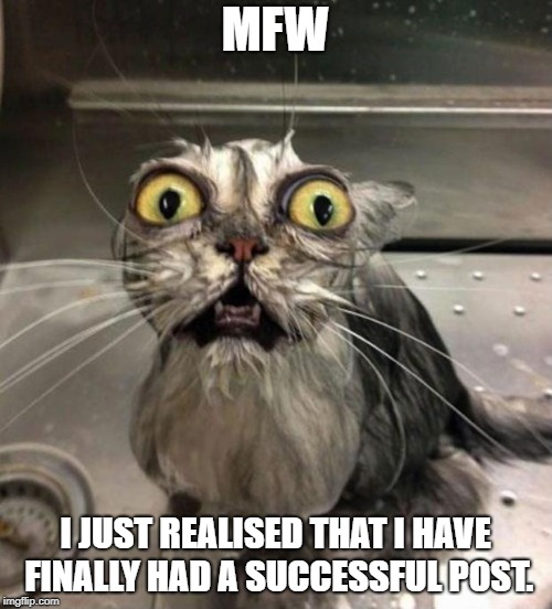 Astonished Wet Cat | MFW; I JUST REALISED THAT I HAVE FINALLY HAD A SUCCESSFUL POST. | image tagged in astonished wet cat | made w/ Imgflip meme maker