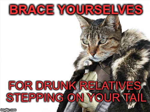 Holiday Party | BRACE YOURSELVES; FOR DRUNK RELATIVES STEPPING ON YOUR TAIL | image tagged in funny memes,cat,happy holidays,party,relatives,christmas | made w/ Imgflip meme maker