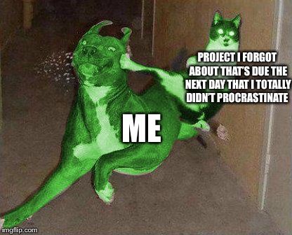 RayCat kicking RayDog | PROJECT I FORGOT ABOUT THAT’S DUE THE NEXT DAY THAT I TOTALLY DIDN’T PROCRASTINATE; ME | image tagged in raycat kicking raydog | made w/ Imgflip meme maker