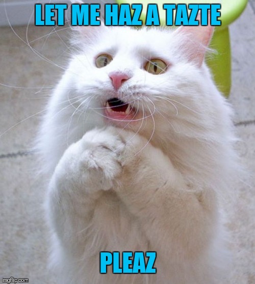 I Can Haz | LET ME HAZ A TAZTE PLEAZ | image tagged in i can haz | made w/ Imgflip meme maker