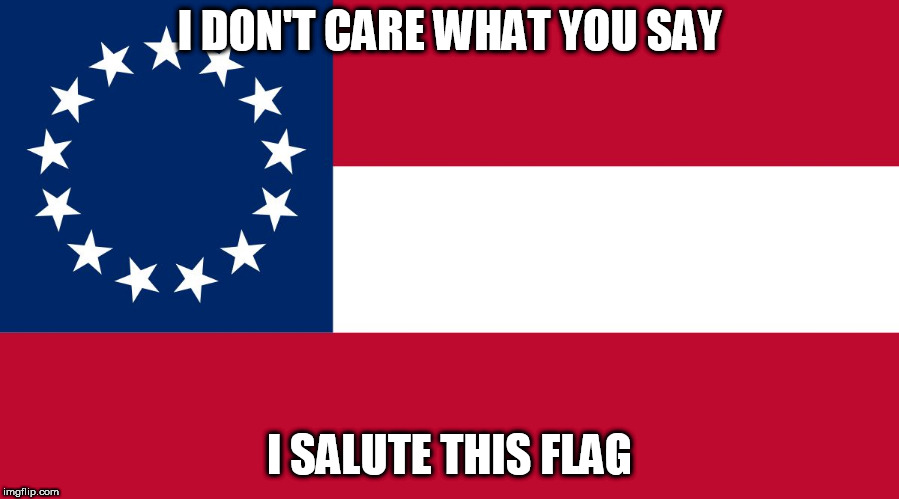 Confederate Flag | I DON'T CARE WHAT YOU SAY; I SALUTE THIS FLAG | image tagged in confederate flag,confederate,southern flag,southern pride,south,southern | made w/ Imgflip meme maker