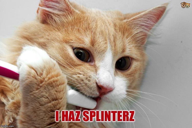 I HAZ SPLINTERZ | made w/ Imgflip meme maker