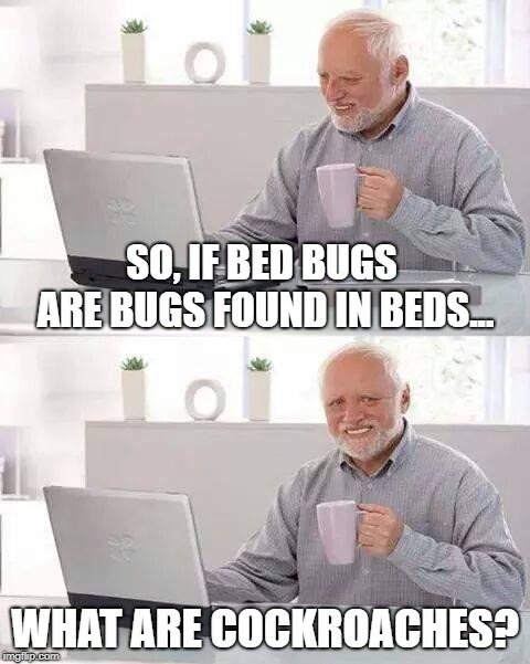 Wandering minds want to know... | SO, IF BED BUGS ARE BUGS FOUND IN BEDS... WHAT ARE COCKROACHES? | image tagged in memes,hide the pain harold | made w/ Imgflip meme maker