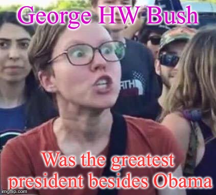 Angry Liberal | George HW Bush; Was the greatest president besides Obama | image tagged in angry liberal | made w/ Imgflip meme maker