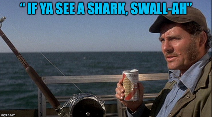 Quint fishing | “ IF YA SEE A SHARK, SWALL-AH” | image tagged in quint fishing | made w/ Imgflip meme maker