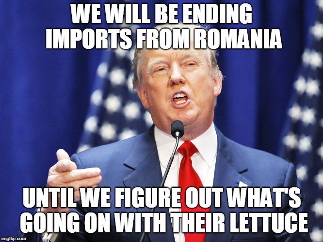 Romanian Lettuce | WE WILL BE ENDING IMPORTS FROM ROMANIA; UNTIL WE FIGURE OUT WHAT'S GOING ON WITH THEIR LETTUCE | image tagged in trump,romaine,lettuce,romania | made w/ Imgflip meme maker