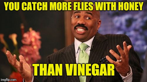 YOU CATCH MORE FLIES WITH HONEY THAN VINEGAR | image tagged in memes,steve harvey | made w/ Imgflip meme maker